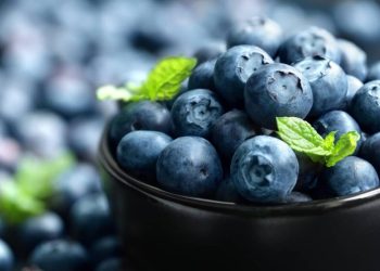 El USDA designó a los miembros del U.S. Highbush Blueberry Council