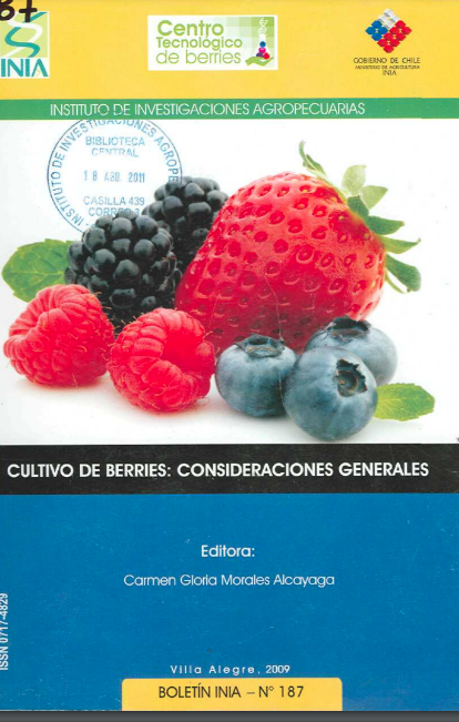 Cultivo de berries: Consideraciones generales