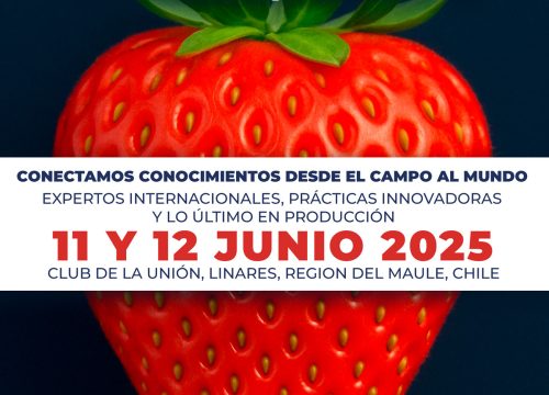 Curso de actualización y capacitación en Producción sostenible y tecnologías en el cultivo de Frutillas/Fresas