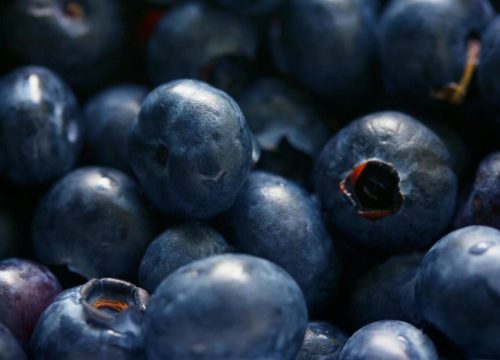 Aumentan las exportaciones sudafricanas de frutas y hortalizas en el segundo trimestre