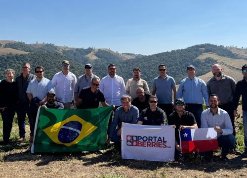 Exitosa Gira Tecnológica de Berrytec fortalece redes frutilleras en Brasil