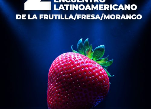 Nos preparamos para el Segundo Encuentro Latinoamericano de la Frutilla/Fresa/Morango