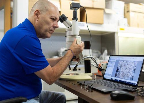 Semillas de Florida viajan al espacio en una misión para crear cultivos resistentes