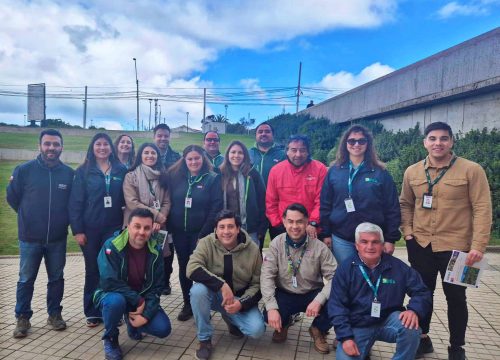 INIA y SAG capacitan a productores en manejo del nematodo foliar de la frutilla ante cierre de emergencia fitosanitaria