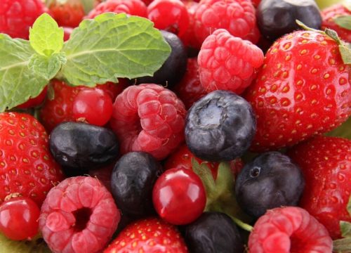 El sector mexicano de berries abre camino hacia Asia y Europa