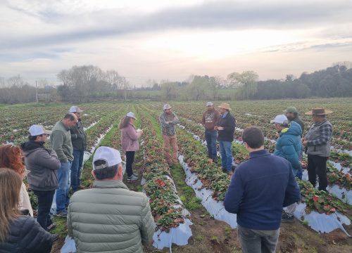 Los desafíos de la agricultura moderna: hacia una producción más sustentable