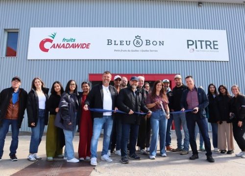 Nueva fábrica de procesamiento de berries en Quebec