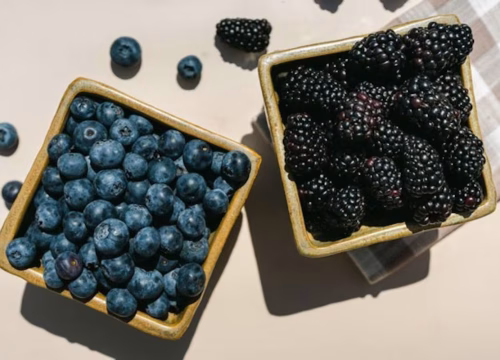 Perú entra al programa de importación global de berries de gigante orgánico de EE.UU.