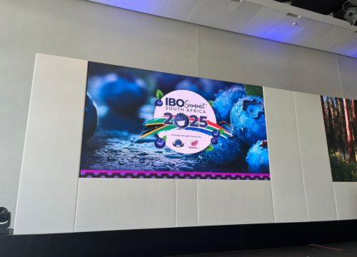 Líderes mundiales de la industria del arándano se reunieron en Sudáfrica para un IBO Summit 2025 inolvidable, organizado por Berries ZA