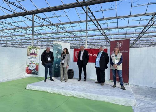 Francia | International Asparagus Days e International Berries Days, gran éxito en Burdeos