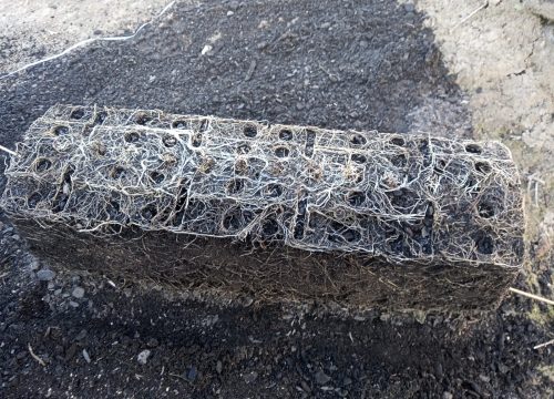 Microbiología aplicada: el nuevo lenguaje del suelo