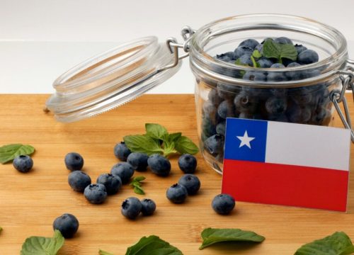 Chile proyecta aumento en envíos de arándanos frescos y congelados para 2025-2026