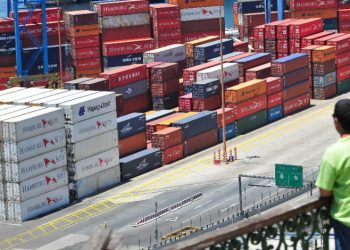 Exportaciones de Ñuble registran fuerte caída