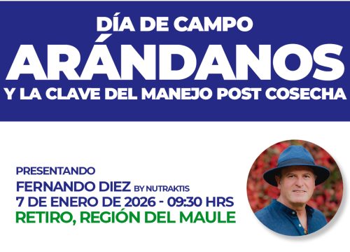 Día de campo arándanos