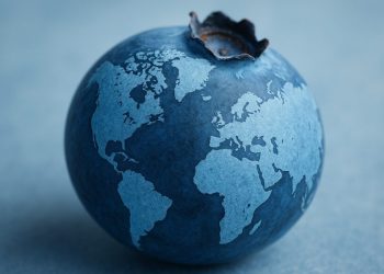 El boom del arándano: consumo, producción y los países que lideran en 2025