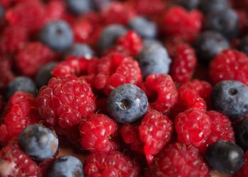 Proyecto busca aumentar variedades de arándanos y frambuesos en Maule