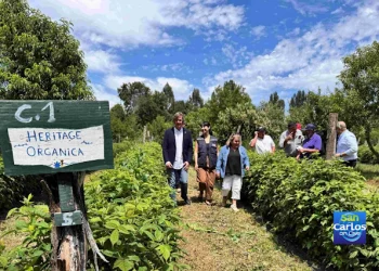 ¿Cómo accederán los pequeños agricultores de Ñuble a la certificación orgánica?