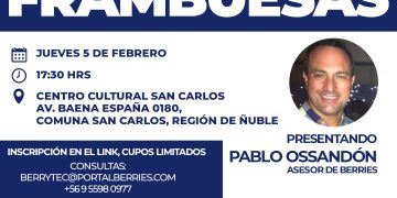 Berrytec realizará seminario de actualización en el cultivo de frambuesas en San Carlos