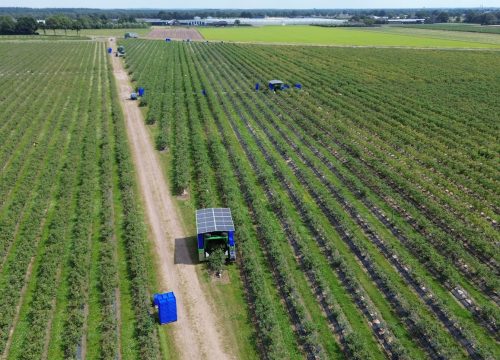 “Dentro de 5-15 años, la recolección de ‘berries’ frescas estará totalmente mecanizada”