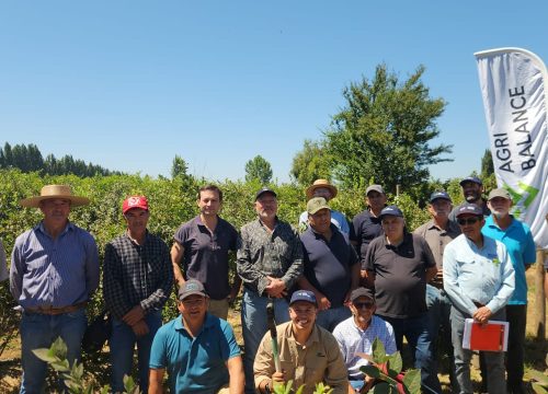 Día de Campo Berrytec junto a programa Indap SAT Longavi fortaleció el apoyo técnico a productores de Frambuesa y Arándano