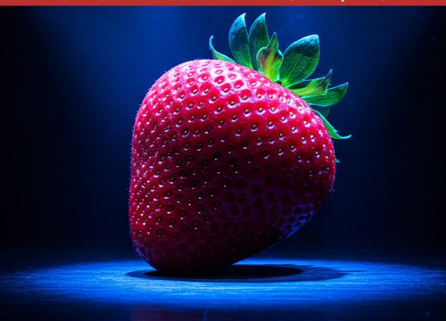 Chile será sede del Segundo Encuentro Latinoamericano de la Frutilla 2026