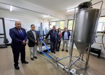 Proyecto UdeC concreta tecnología ultrasónica que permite mejorar la bioaccesibilidad de compuestos bioactivos presentes en berries