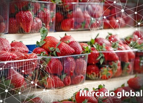 Resumen del mercado global de la fresa