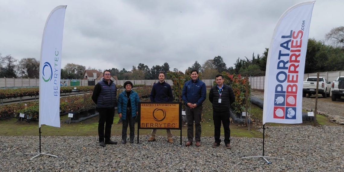 Visita del Ministerio de Agricultura al Centro Experimental Berrytec: Análisis y Desafíos de la situación actual de la Industria de la Frutilla