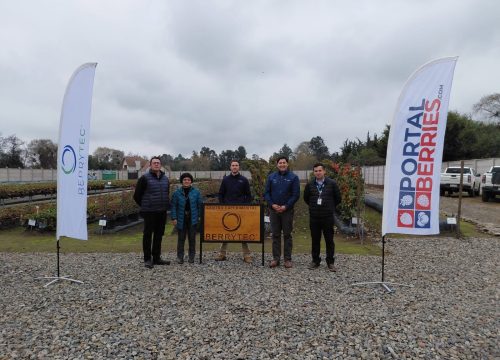 Visita del Ministerio de Agricultura al Centro Experimental Berrytec: Análisis y Desafíos de la situación actual de la Industria de la Frutilla