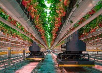 Dogtooth anuncia la llegada de la “IA incorporada” a la producción de frutas
