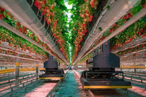 Dogtooth anuncia la llegada de la “IA incorporada” a la producción de frutas