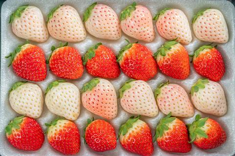 Corea reporta un aumento en las exportaciones de fruta fresca
