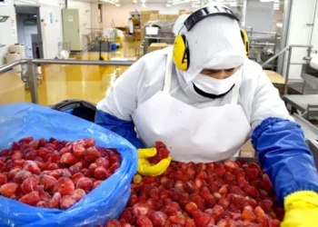 Agroindustria alerta por arancel de EE.UU. que amenaza dinamismo exportador chileno