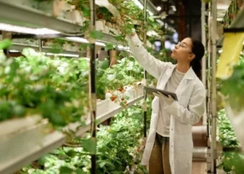 USDA: EE.UU. abre fondos para vigilancia fitosanitaria y producción de plantas libres de enfermedades