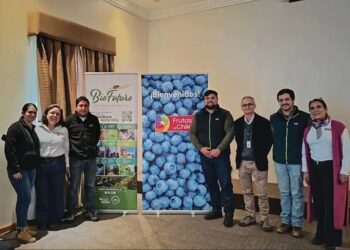 Arándanos de Biobío y Ñuble avanzan en la implementación del Systems Approach para sus exportaciones