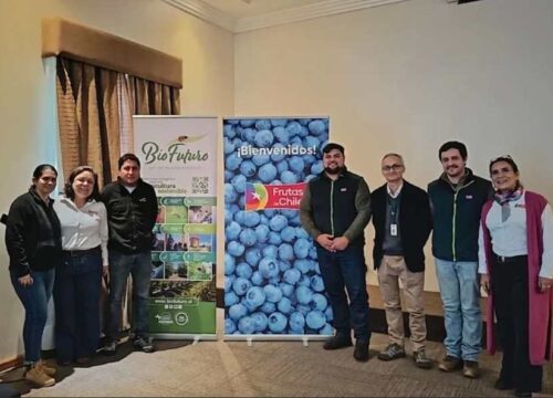 Arándanos de Biobío y Ñuble avanzan en la implementación del Systems Approach para sus exportaciones