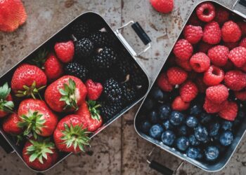 Aneberries 2026: análisis estratégico para fortalecer la industria de las berries mexicanas