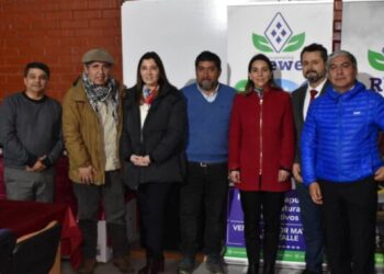 Cooperativa mapuche de La Araucanía produce más de 98 mil kilos de berries: Plan Buen Vivir inicia trabajo para potenciar producción y futura exportación