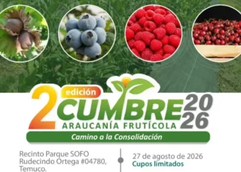 Fruticultura de La Araucanía analizará mercados, clima e innovación en encuentro regional