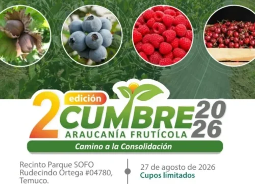 Fruticultura de La Araucanía analizará mercados, clima e innovación en encuentro regional