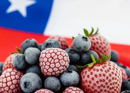 AFFI sostiene en Chile encuentros con SAG y ACHIPA para fortalecer inocuidad y trazabilidad de alimentos congelados