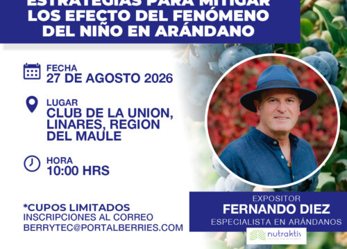 Estrategias para mitigar los efectos del fenómeno de El Niño en arándanos serán abordadas en charla técnica en Linares