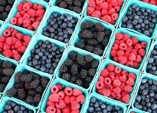 Caída en las exportaciones de berries de México, pero una categoría sigue creciendo
