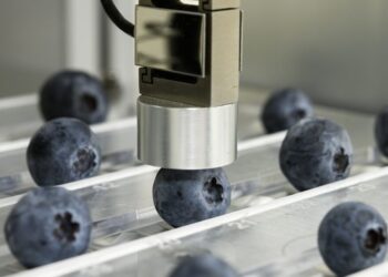 Naturipe Farms y Hortifrut amplían su plataforma genética de berries con alianza estratégica junto a MBO