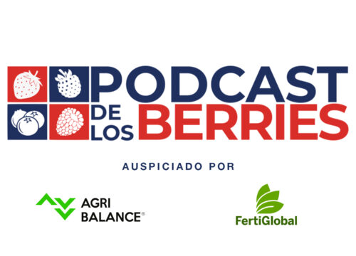 El Podcast de los Berries – Fernando Diez