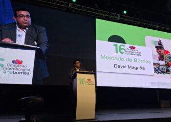 Industria de berries enfrenta mayor incertidumbre global, pero la demanda seguirá creciendo