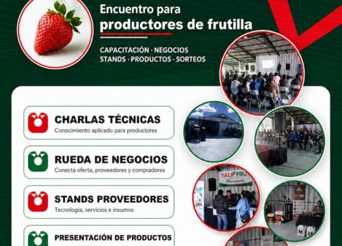 YaliDay 2026 prepara su segunda edición con más de 100 productores y 16 empresas vinculadas al cultivo de frutillas