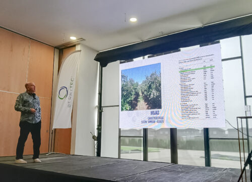Berrytec reúne al sector productivo de los arándanos para anticipar los desafíos climáticos de la próxima temporada