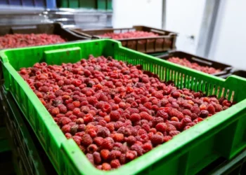 Exportaciones enero-julio crecen 15% y superan los US$ 70.000 millones