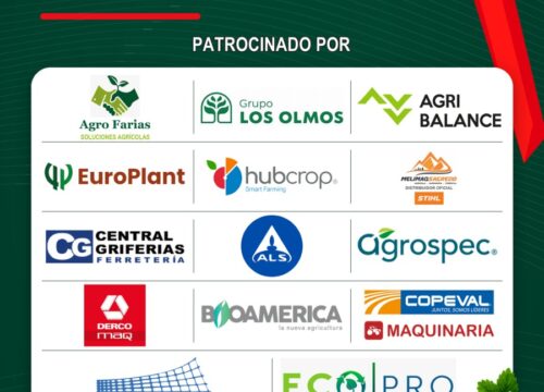 YaliDay 2026 prepara su segunda edición con 16 empresas vinculadas al cultivo de frutillas